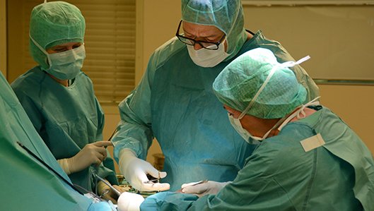 Chriurgenteam um Chefarzt um Dr. Ludwig im OP