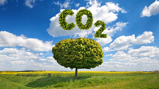 Landschaftsmotiv mit Baum und dem Kürzel CO2