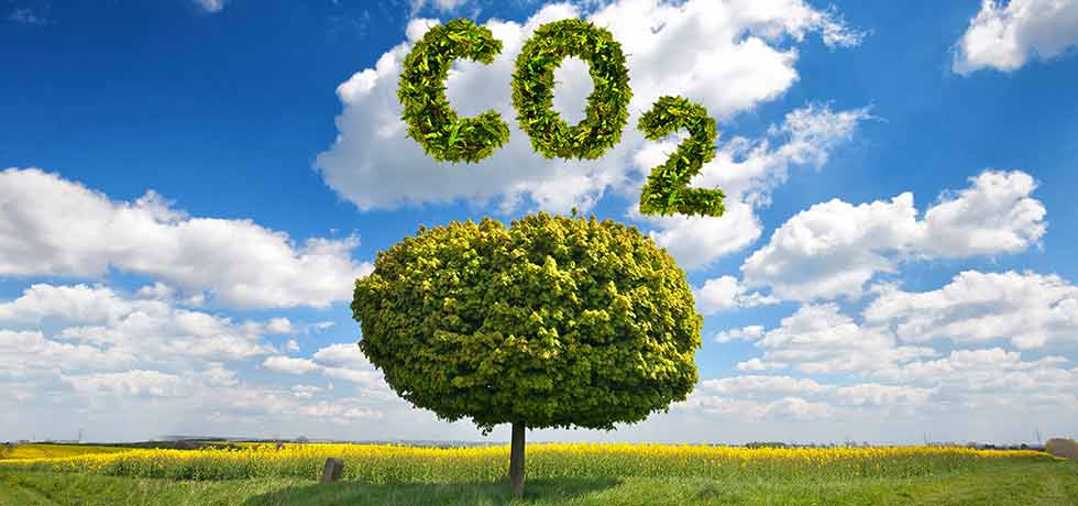 Klinikum Westfalen mindert Ausstoß von CO2 um 525 Tonnen im Jahr