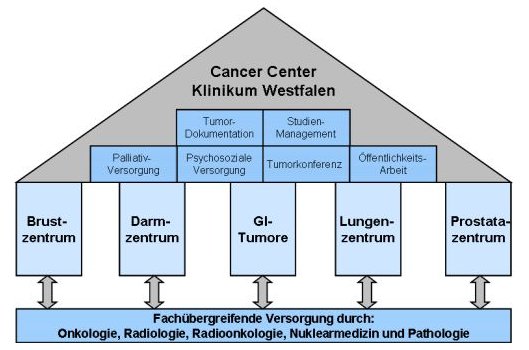 Cancer Center Klinikum Westfalen Schaubild